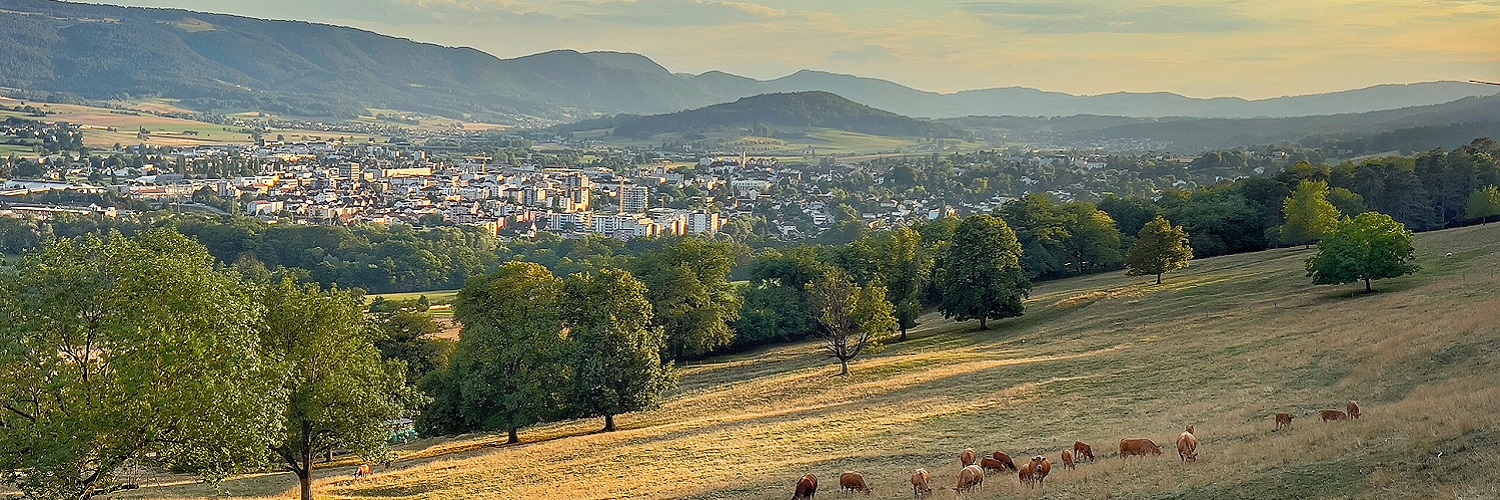 News und Inspiration für den Kanton Jura